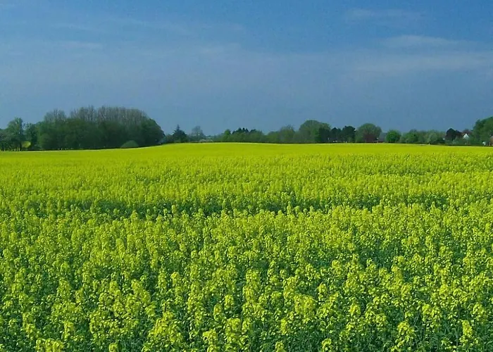 דירה Schule 6 By Interhome